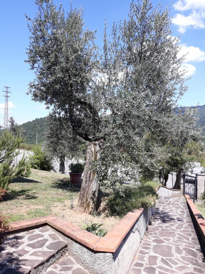 Gli Oleandri B&B Vaiano  Esterno foto