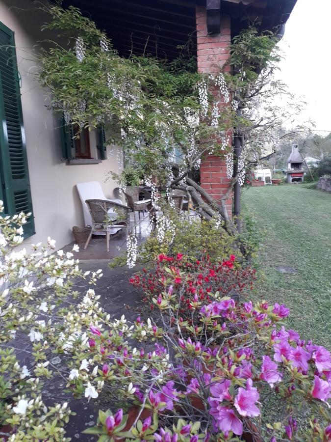 Gli Oleandri B&B Vaiano  Esterno foto